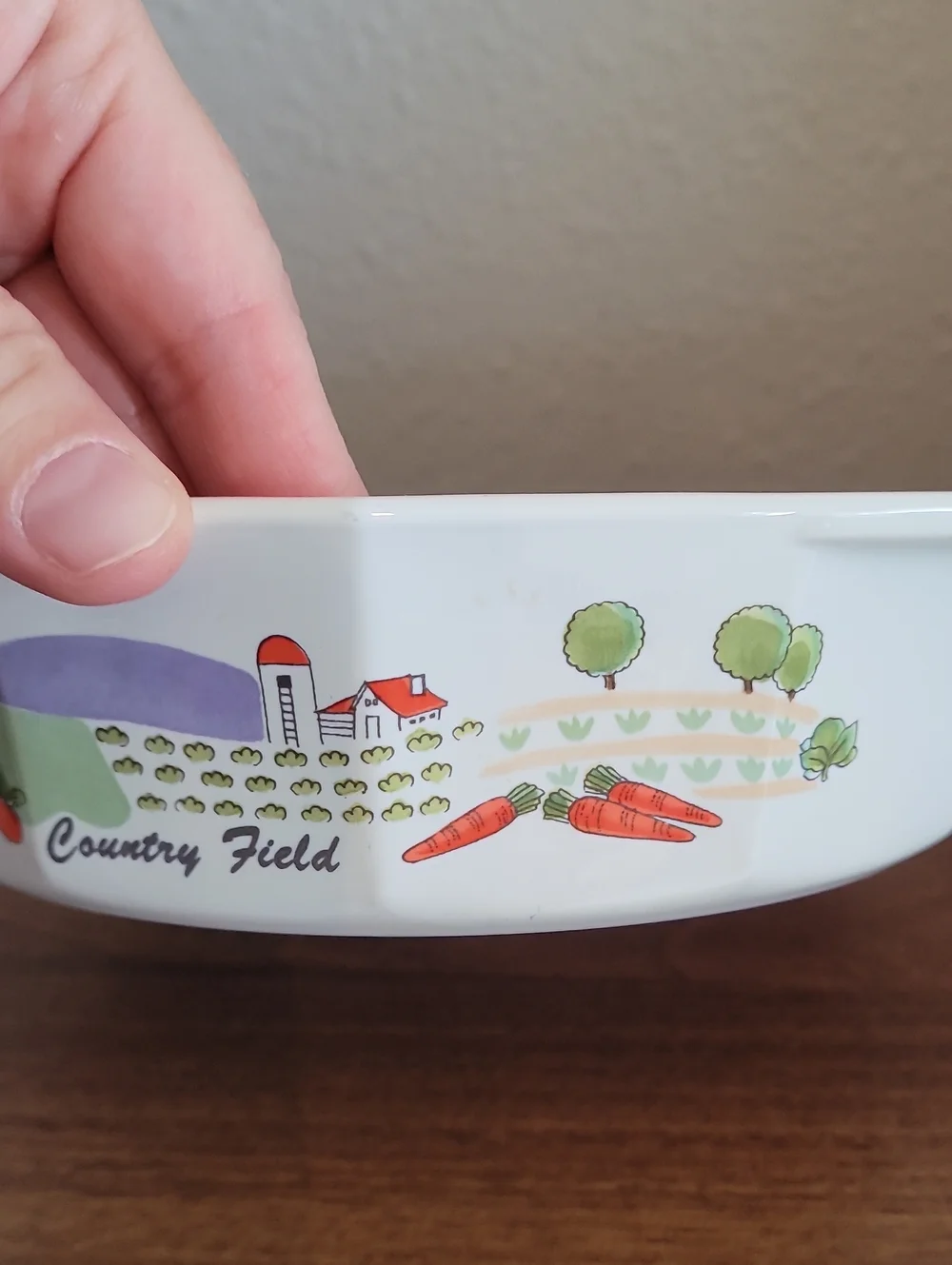 Vintage Mikasa Fire & Ice Country Field Baking Dish AA007 Japan Casserole